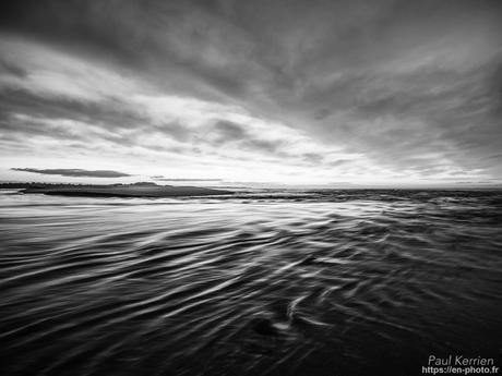 tournepierres à collier et bécasseaux sanderling à #Fouesnant #Bretagne #Finistère tournepierres à collier et bécasseaux sanderling à #Fouesnant #Bretagne #Finistère