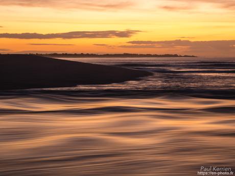 tournepierres à collier et bécasseaux sanderling à #Fouesnant #Bretagne #Finistère tournepierres à collier et bécasseaux sanderling à #Fouesnant #Bretagne #Finistère