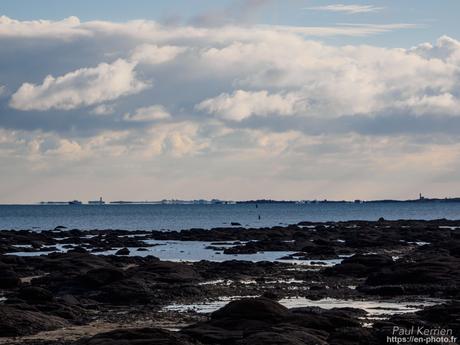 tournepierres à collier et bécasseaux sanderling à #Fouesnant #Bretagne #Finistère tournepierres à collier et bécasseaux sanderling à #Fouesnant #Bretagne #Finistère