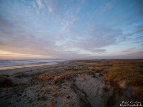 tournepierres à collier et bécasseaux sanderling à #Fouesnant #Bretagne #Finistère tournepierres à collier et bécasseaux sanderling à #Fouesnant #Bretagne #Finistère