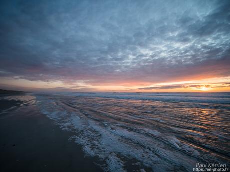 tournepierres à collier et bécasseaux sanderling à #Fouesnant #Bretagne #Finistère tournepierres à collier et bécasseaux sanderling à #Fouesnant #Bretagne #Finistère
