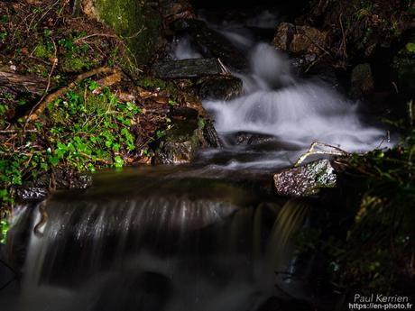 tournepierres à collier et bécasseaux sanderling à #Fouesnant #Bretagne #Finistère tournepierres à collier et bécasseaux sanderling à #Fouesnant #Bretagne #Finistère