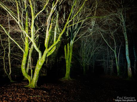 tournepierres à collier et bécasseaux sanderling à #Fouesnant #Bretagne #Finistère tournepierres à collier et bécasseaux sanderling à #Fouesnant #Bretagne #Finistère