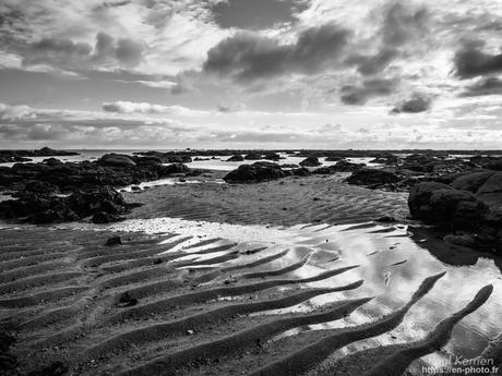 tournepierres à collier et bécasseaux sanderling à #Fouesnant #Bretagne #Finistère