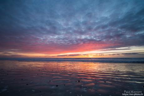 tournepierres à collier et bécasseaux sanderling à #Fouesnant #Bretagne #Finistère tournepierres à collier et bécasseaux sanderling à #Fouesnant #Bretagne #Finistère
