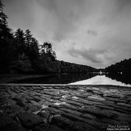 tournepierres à collier et bécasseaux sanderling à #Fouesnant #Bretagne #Finistère tournepierres à collier et bécasseaux sanderling à #Fouesnant #Bretagne #Finistère