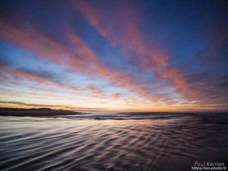 tournepierres à collier et bécasseaux sanderling à #Fouesnant #Bretagne #Finistère tournepierres à collier et bécasseaux sanderling à #Fouesnant #Bretagne #Finistère