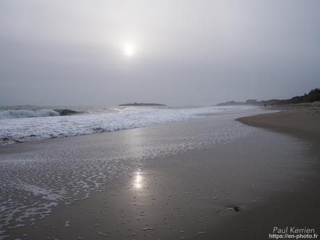 tournepierres à collier et bécasseaux sanderling à #Fouesnant #Bretagne #Finistère tournepierres à collier et bécasseaux sanderling à #Fouesnant #Bretagne #Finistère