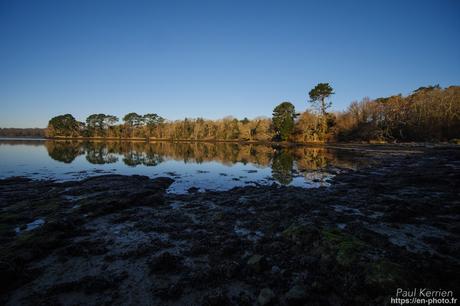 tournepierres à collier et bécasseaux sanderling à #Fouesnant #Bretagne #Finistère tournepierres à collier et bécasseaux sanderling à #Fouesnant #Bretagne #Finistère