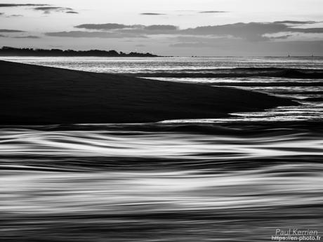 tournepierres à collier et bécasseaux sanderling à #Fouesnant #Bretagne #Finistère tournepierres à collier et bécasseaux sanderling à #Fouesnant #Bretagne #Finistère