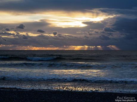 tournepierres à collier et bécasseaux sanderling à #Fouesnant #Bretagne #Finistère tournepierres à collier et bécasseaux sanderling à #Fouesnant #Bretagne #Finistère