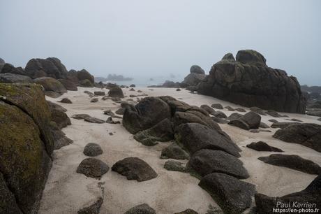 tournepierres à collier et bécasseaux sanderling à #Fouesnant #Bretagne #Finistère tournepierres à collier et bécasseaux sanderling à #Fouesnant #Bretagne #Finistère