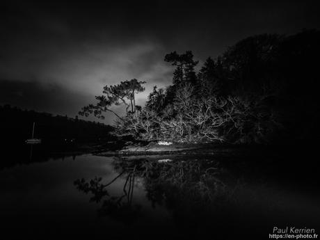 tournepierres à collier et bécasseaux sanderling à #Fouesnant #Bretagne #Finistère tournepierres à collier et bécasseaux sanderling à #Fouesnant #Bretagne #Finistère