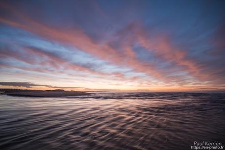 tournepierres à collier et bécasseaux sanderling à #Fouesnant #Bretagne #Finistère tournepierres à collier et bécasseaux sanderling à #Fouesnant #Bretagne #Finistère