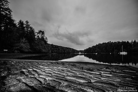 tournepierres à collier et bécasseaux sanderling à #Fouesnant #Bretagne #Finistère tournepierres à collier et bécasseaux sanderling à #Fouesnant #Bretagne #Finistère