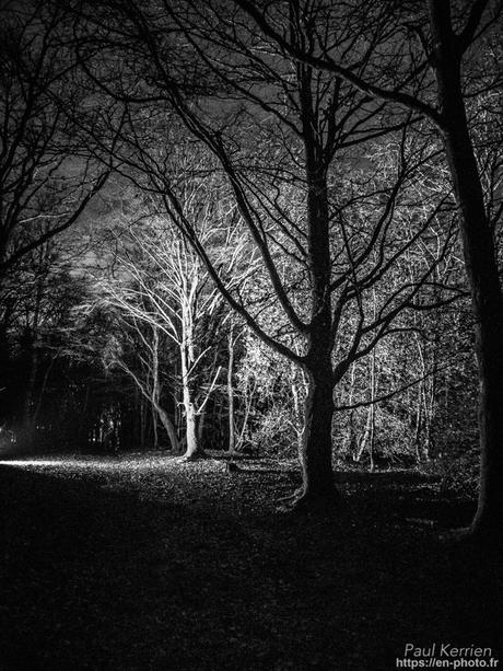tournepierres à collier et bécasseaux sanderling à #Fouesnant #Bretagne #Finistère tournepierres à collier et bécasseaux sanderling à #Fouesnant #Bretagne #Finistère