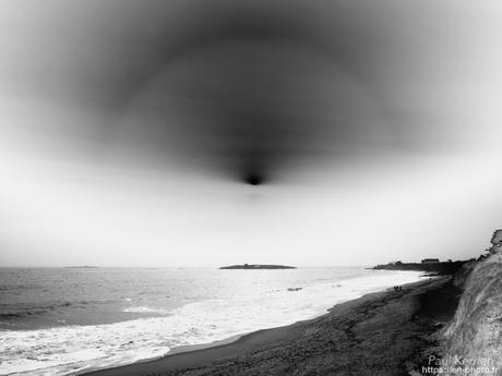 tournepierres à collier et bécasseaux sanderling à #Fouesnant #Bretagne #Finistère tournepierres à collier et bécasseaux sanderling à #Fouesnant #Bretagne #Finistère