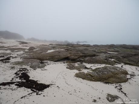 tournepierres à collier et bécasseaux sanderling à #Fouesnant #Bretagne #Finistère tournepierres à collier et bécasseaux sanderling à #Fouesnant #Bretagne #Finistère