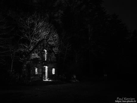 tournepierres à collier et bécasseaux sanderling à #Fouesnant #Bretagne #Finistère tournepierres à collier et bécasseaux sanderling à #Fouesnant #Bretagne #Finistère