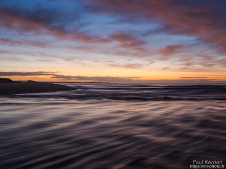 tournepierres à collier et bécasseaux sanderling à #Fouesnant #Bretagne #Finistère tournepierres à collier et bécasseaux sanderling à #Fouesnant #Bretagne #Finistère