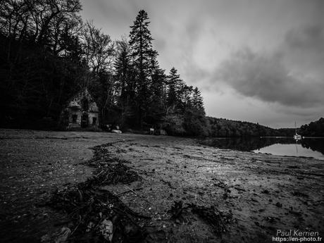 tournepierres à collier et bécasseaux sanderling à #Fouesnant #Bretagne #Finistère tournepierres à collier et bécasseaux sanderling à #Fouesnant #Bretagne #Finistère