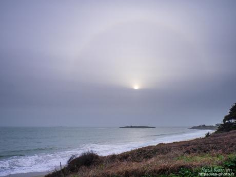 tournepierres à collier et bécasseaux sanderling à #Fouesnant #Bretagne #Finistère tournepierres à collier et bécasseaux sanderling à #Fouesnant #Bretagne #Finistère