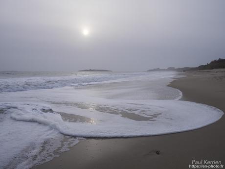 tournepierres à collier et bécasseaux sanderling à #Fouesnant #Bretagne #Finistère tournepierres à collier et bécasseaux sanderling à #Fouesnant #Bretagne #Finistère