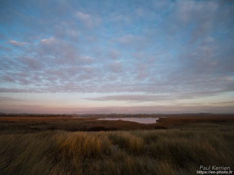 tournepierres à collier et bécasseaux sanderling à #Fouesnant #Bretagne #Finistère tournepierres à collier et bécasseaux sanderling à #Fouesnant #Bretagne #Finistère