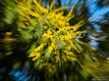 tournepierres à collier et bécasseaux sanderling à #Fouesnant #Bretagne #Finistère tournepierres à collier et bécasseaux sanderling à #Fouesnant #Bretagne #Finistère