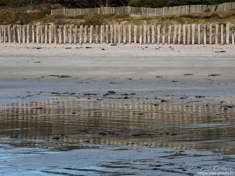 tournepierres à collier et bécasseaux sanderling à #Fouesnant #Bretagne #Finistère tournepierres à collier et bécasseaux sanderling à #Fouesnant #Bretagne #Finistère