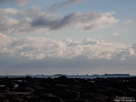 tournepierres à collier et bécasseaux sanderling à #Fouesnant #Bretagne #Finistère tournepierres à collier et bécasseaux sanderling à #Fouesnant #Bretagne #Finistère
