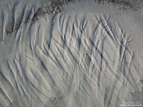 tournepierres à collier et bécasseaux sanderling à #Fouesnant #Bretagne #Finistère tournepierres à collier et bécasseaux sanderling à #Fouesnant #Bretagne #Finistère
