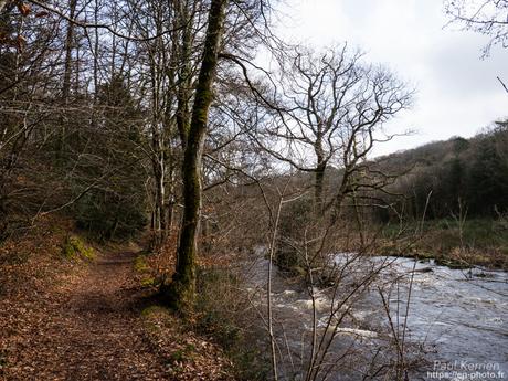 tournepierres à collier et bécasseaux sanderling à #Fouesnant #Bretagne #Finistère tournepierres à collier et bécasseaux sanderling à #Fouesnant #Bretagne #Finistère