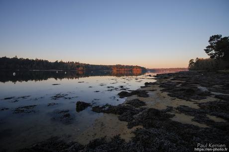 tournepierres à collier et bécasseaux sanderling à #Fouesnant #Bretagne #Finistère tournepierres à collier et bécasseaux sanderling à #Fouesnant #Bretagne #Finistère