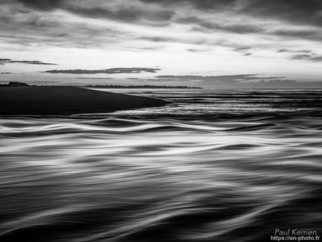tournepierres à collier et bécasseaux sanderling à #Fouesnant #Bretagne #Finistère tournepierres à collier et bécasseaux sanderling à #Fouesnant #Bretagne #Finistère