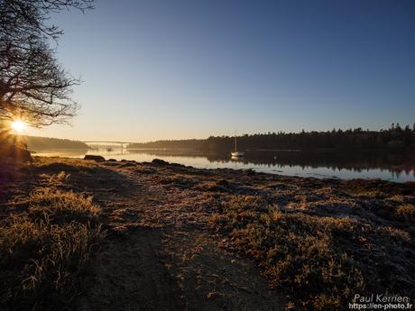 tournepierres à collier et bécasseaux sanderling à #Fouesnant #Bretagne #Finistère tournepierres à collier et bécasseaux sanderling à #Fouesnant #Bretagne #Finistère