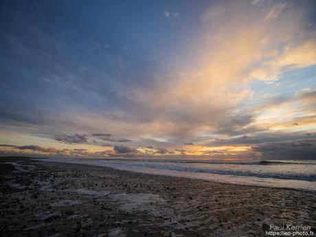 tournepierres à collier et bécasseaux sanderling à #Fouesnant #Bretagne #Finistère tournepierres à collier et bécasseaux sanderling à #Fouesnant #Bretagne #Finistère