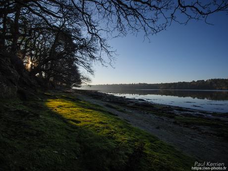 tournepierres à collier et bécasseaux sanderling à #Fouesnant #Bretagne #Finistère tournepierres à collier et bécasseaux sanderling à #Fouesnant #Bretagne #Finistère