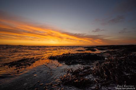 tournepierres à collier et bécasseaux sanderling à #Fouesnant #Bretagne #Finistère tournepierres à collier et bécasseaux sanderling à #Fouesnant #Bretagne #Finistère