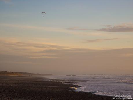 tournepierres à collier et bécasseaux sanderling à #Fouesnant #Bretagne #Finistère tournepierres à collier et bécasseaux sanderling à #Fouesnant #Bretagne #Finistère