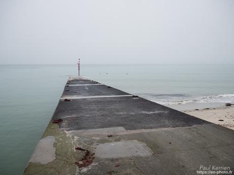 tournepierres à collier et bécasseaux sanderling à #Fouesnant #Bretagne #Finistère tournepierres à collier et bécasseaux sanderling à #Fouesnant #Bretagne #Finistère