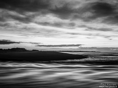 tournepierres à collier et bécasseaux sanderling à #Fouesnant #Bretagne #Finistère tournepierres à collier et bécasseaux sanderling à #Fouesnant #Bretagne #Finistère