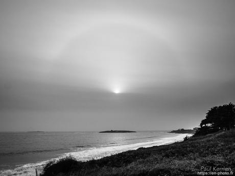 tournepierres à collier et bécasseaux sanderling à #Fouesnant #Bretagne #Finistère tournepierres à collier et bécasseaux sanderling à #Fouesnant #Bretagne #Finistère
