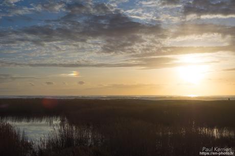 tournepierres à collier et bécasseaux sanderling à #Fouesnant #Bretagne #Finistère tournepierres à collier et bécasseaux sanderling à #Fouesnant #Bretagne #Finistère