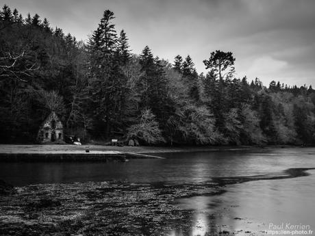tournepierres à collier et bécasseaux sanderling à #Fouesnant #Bretagne #Finistère tournepierres à collier et bécasseaux sanderling à #Fouesnant #Bretagne #Finistère