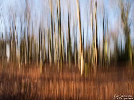 tournepierres à collier et bécasseaux sanderling à #Fouesnant #Bretagne #Finistère tournepierres à collier et bécasseaux sanderling à #Fouesnant #Bretagne #Finistère