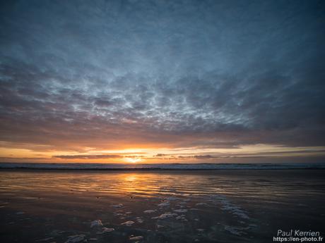 tournepierres à collier et bécasseaux sanderling à #Fouesnant #Bretagne #Finistère tournepierres à collier et bécasseaux sanderling à #Fouesnant #Bretagne #Finistère