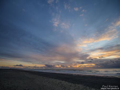 tournepierres à collier et bécasseaux sanderling à #Fouesnant #Bretagne #Finistère