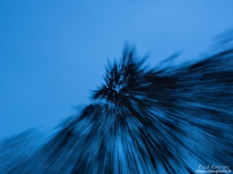 tournepierres à collier et bécasseaux sanderling à #Fouesnant #Bretagne #Finistère tournepierres à collier et bécasseaux sanderling à #Fouesnant #Bretagne #Finistère