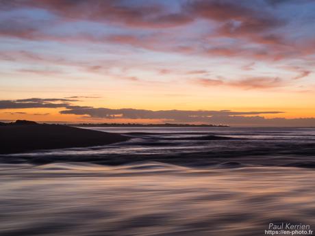 tournepierres à collier et bécasseaux sanderling à #Fouesnant #Bretagne #Finistère tournepierres à collier et bécasseaux sanderling à #Fouesnant #Bretagne #Finistère
